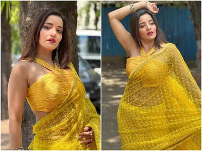 Why So Hot? Monalisa keeps it messy in a saree, see pictures