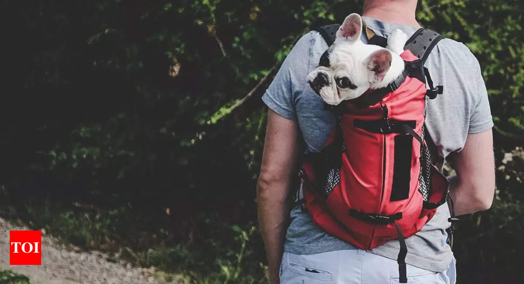 Dog Backpack Dog Bag Breathable Travel Bag Four-legged Pet
