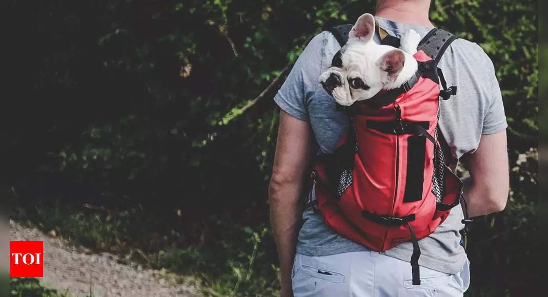 13 Best Dog Carriers for Every Traveler | TIME Stamped