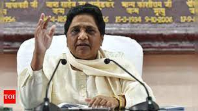 Vote for BSP to end corruption in urban local bodies, says Mayawati