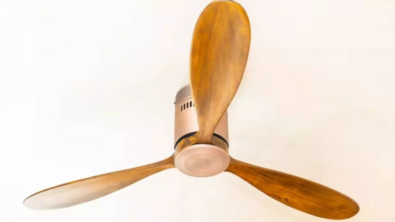 Best BLDC Fans in India That Will Save Energy And Money Most Searched