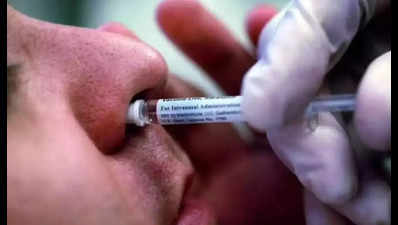 Covid intranasal vaccine for elders to start from today in Mumbai