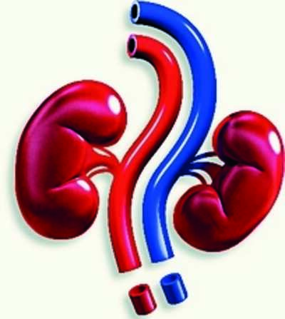 Free peritoneal dialysis facility in all districts