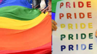 Ignorant, harmful, antithetical: Law students slam Bar Council’s resolution on marriage equality