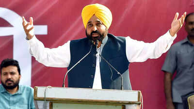 Punjab govt earmarks 10% compensation for farm labourers in case of crop loss due to natural calamity
