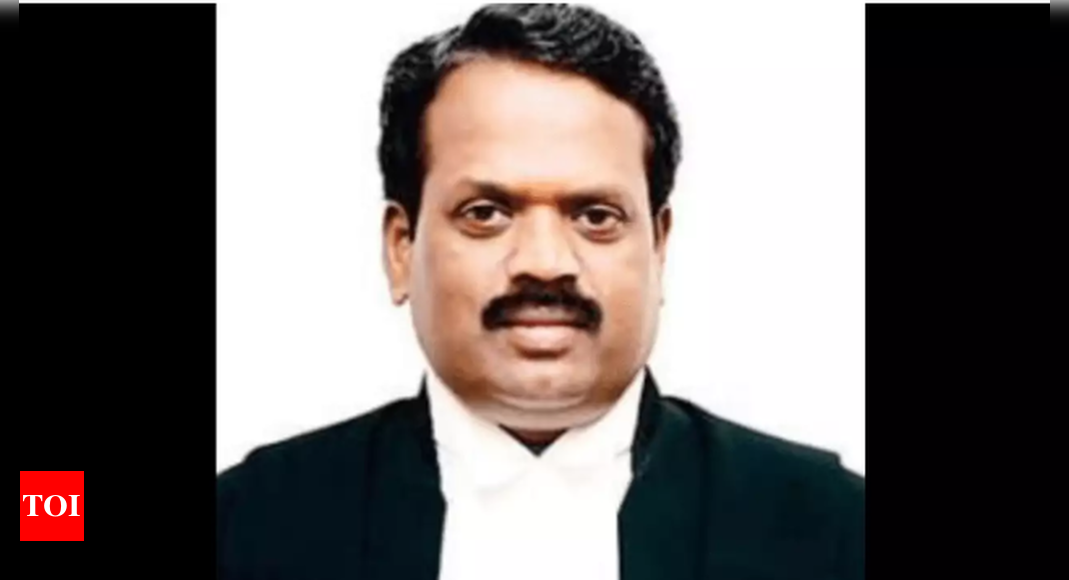 Madras high court Acting Chief Justice T Raja to head two summer