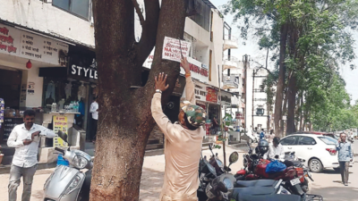 Nashik Municipal Corporation takes off illegal ads nailed to 10,000 trees