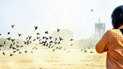At 32°C, Saturday was Ahmedabad's coolest April day in 11 years