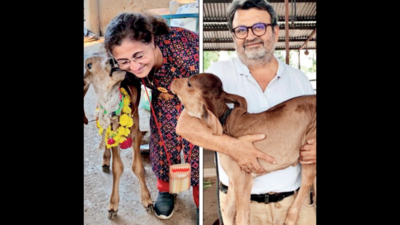 Vadodara doctor couple run dairy farm, supply organic milk