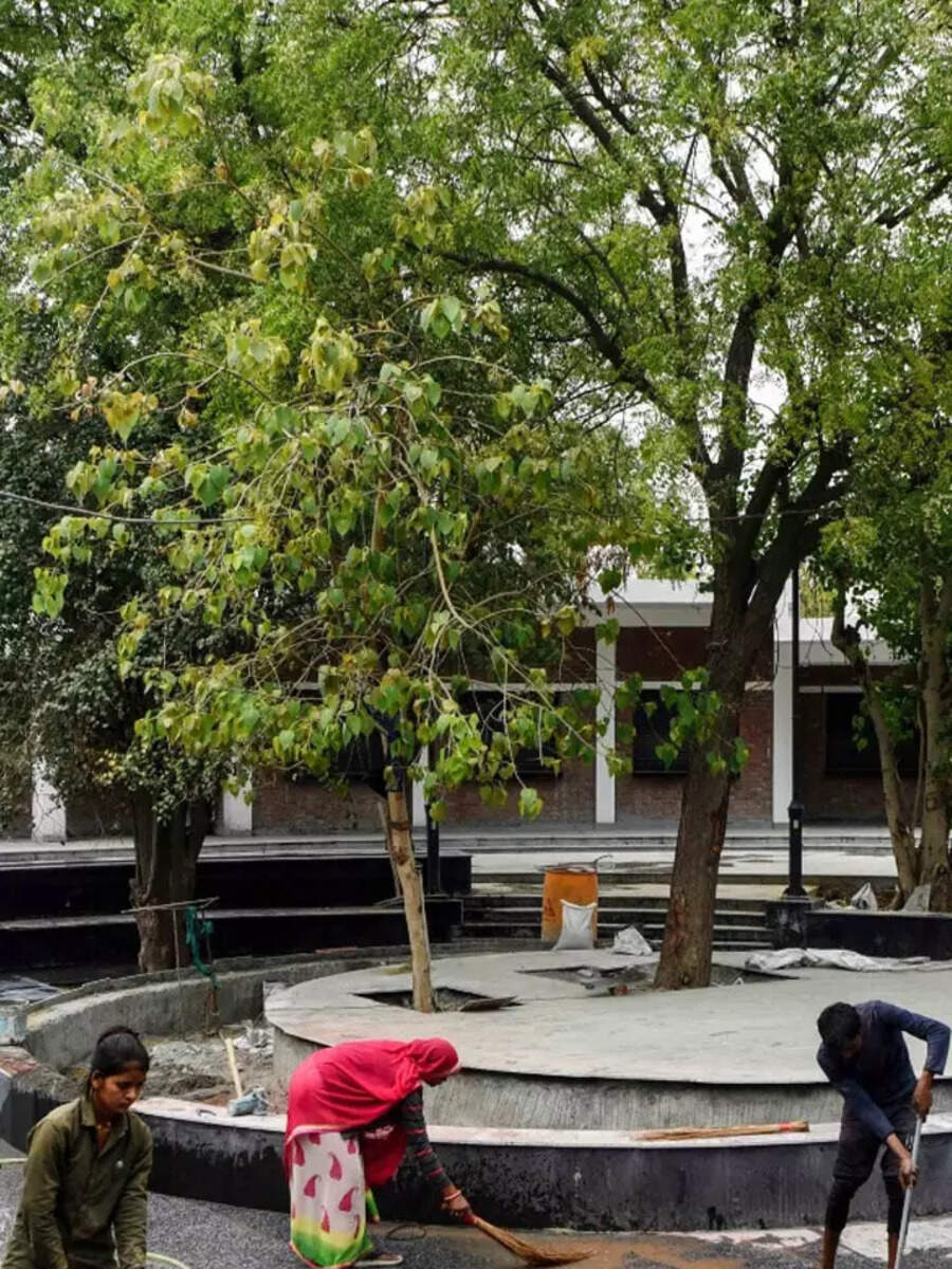 Trash to leisure spots Rejuvenation of Delhi's Dwarka drains Times