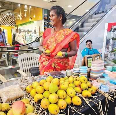 Mango fest in Goa brings back focus on dwindling varieties Goa