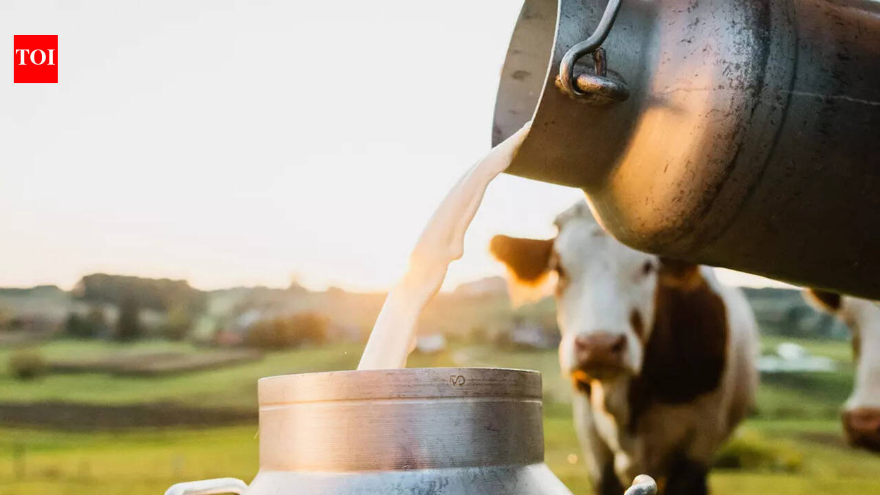 This is the REAL reason why milk is always white in colour