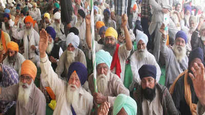 Farmers gear up for another round of long agitation, express solidarity with protesting wrestlers