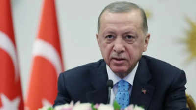 Islamic State leader killed in Syria by Turkish intelligence services: Erdogan