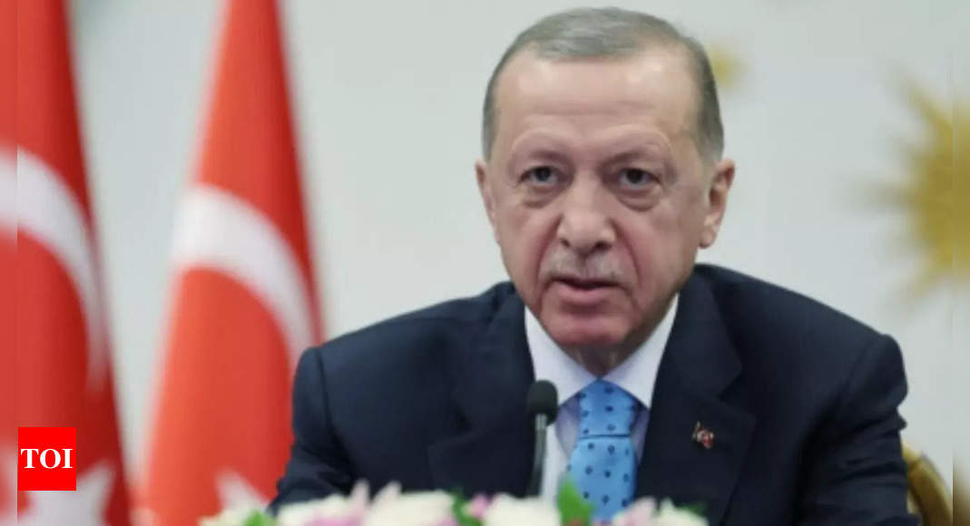 Islamic State leader killed in Syria by Turkish intelligence services: Erdogan – Times of India