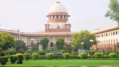 Centre to Supreme Court: Govt at advanced stage of consultation on ...