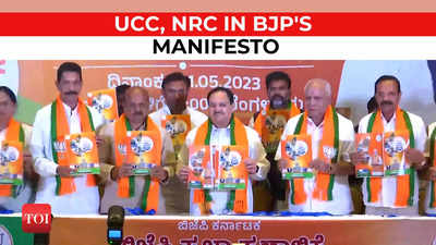 What BJP manifesto promises for Karnataka: UCC, NRC, free LPG