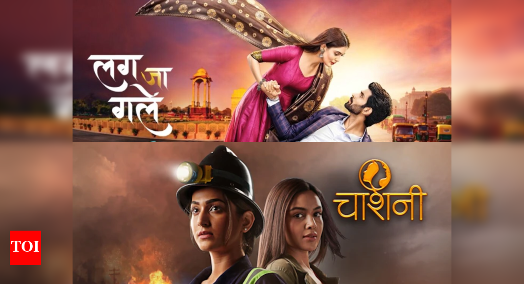 Exclusive! Namik Paul's Lag Ja Gale and Sai Ketan Rao's Chashni to wrap ...
