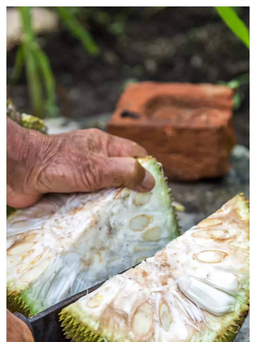 13 delicious jackfruit dishes that will make you meat Times of