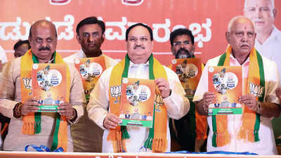 Explained: What is uniform civil code, a key poll promise made by BJP in Karnataka