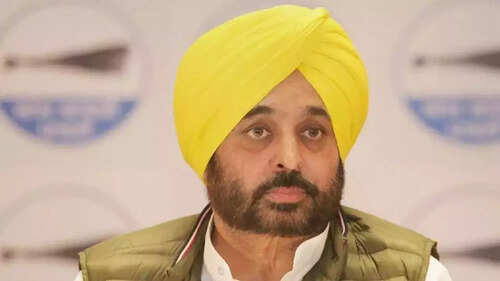 Attack on AAP national leaders won&rsquo;t affect Karnataka campaign, says Punjab CM Bhagwant Mann