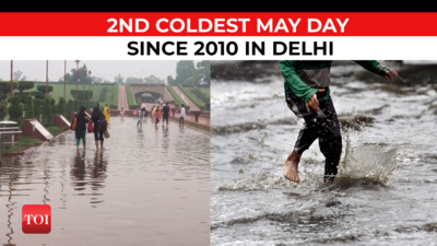 Rain drags temperature 13°C below normal in Delhi, weather experts expect widespread rain for the next 3-4 days