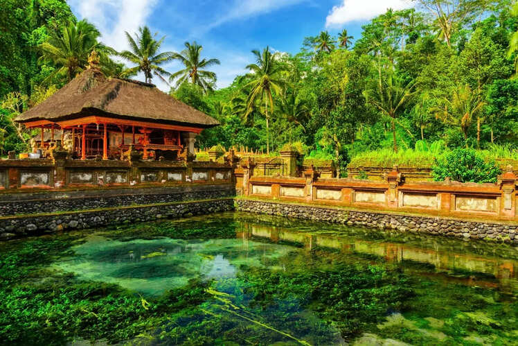 Holy waters of Tirta Empul Temple
