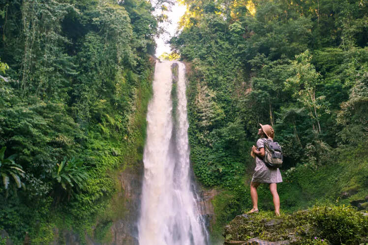 Jungle days at Gitgit Waterfalls