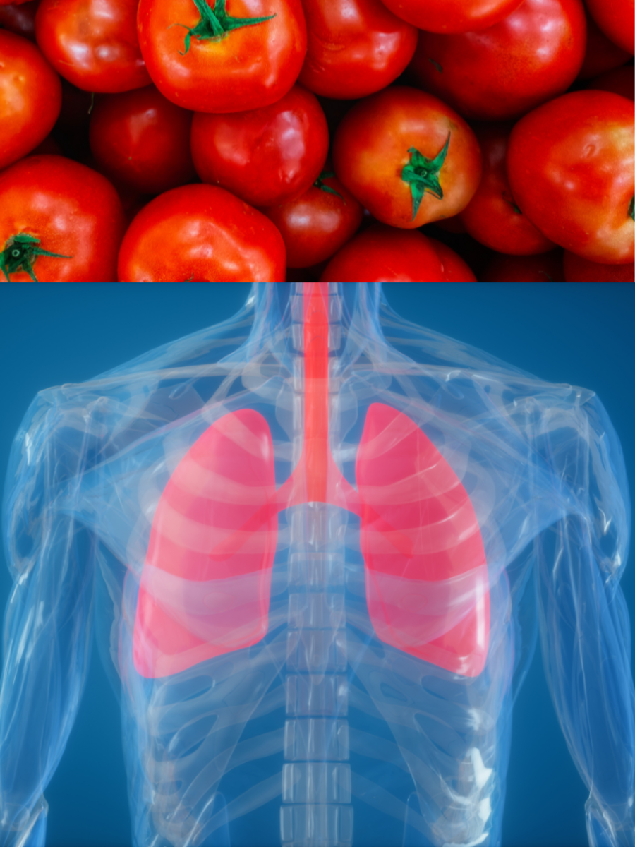 foods-that-strengthen-your-lungs-times-of-india