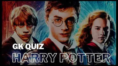 Harry Potter GK Quiz: Take This Quiz if You Are a True Potterhead!