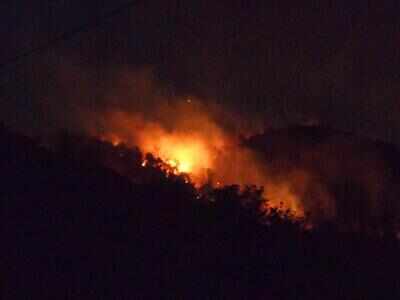 Yuri demands high level inquiry into cases of forest fires