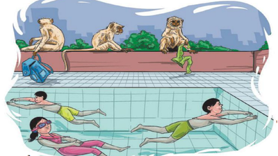 Monkey menace hits Stadium swimming pool in Ahmedabad, staff armed with firecrackers