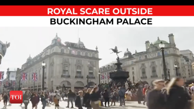 UK: Man throws shotgun cartridges outside Buckingham palace, arrested