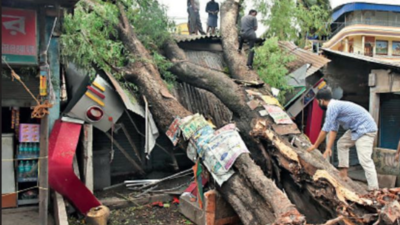 West Bengal govt on watch after IMD spots Bay of Bengal system