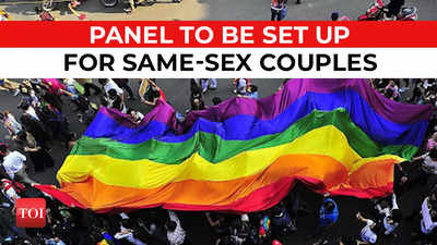 Same Sex Marriage In India: Cabinet Secretary-led Panel To Look Into ...