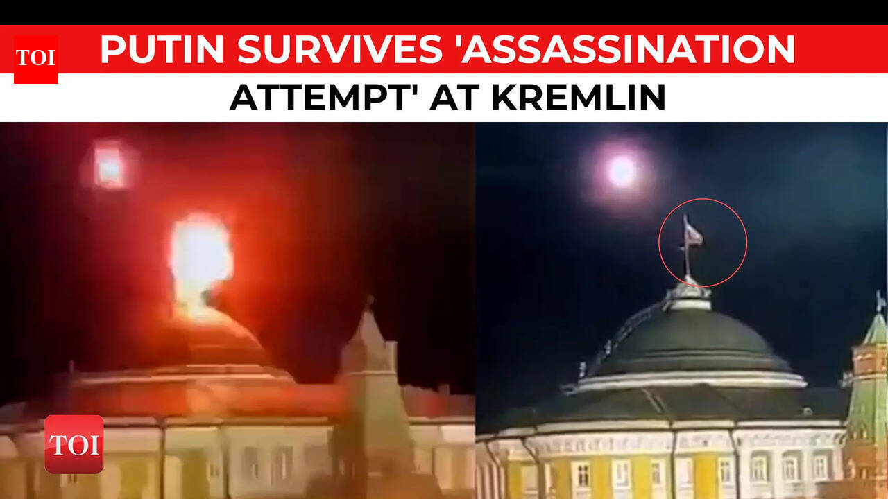 timesofindia.indiatimes.com