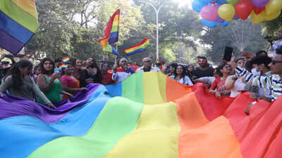 Cabinet secretary-led panel to look into same-sex couples' issues: Govt
