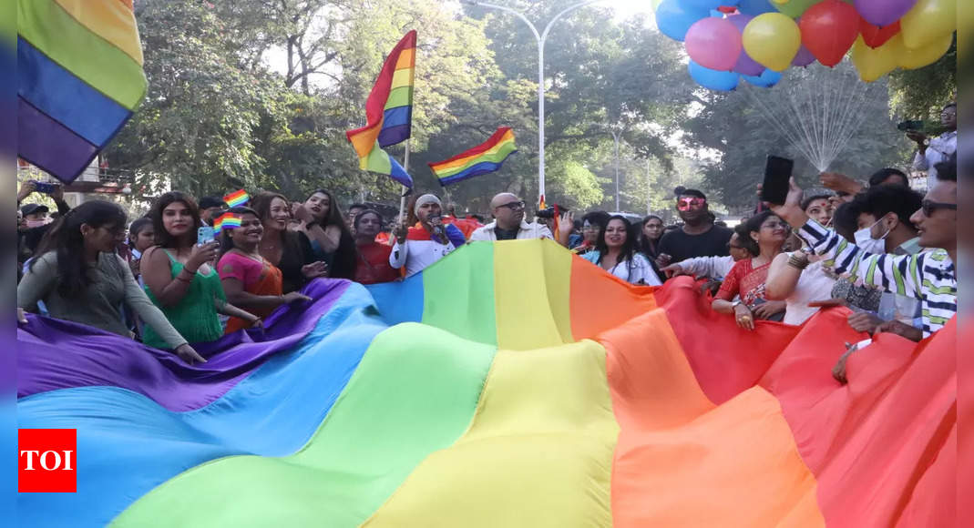 Same Sex Marriage In India Cabinet Secretary Led Panel To Look Into Same Sex Couples Issues