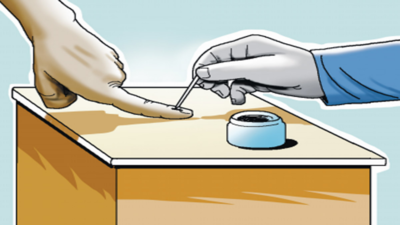 Lucknow municipal corporation elections: Step out for your home, each vote matters today