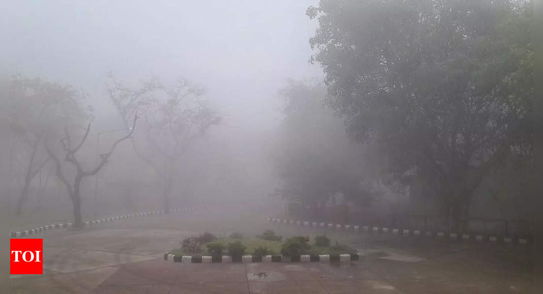 Delhi Fog: Thick May Fog Comes As Surprise In Delhi, Visibility Low ...