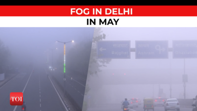 Watch: After a rainy day, thick layer of fog engulfs Delhi-NCR