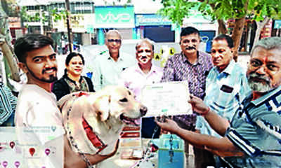 Anti-rabies Vax Drive In Sambhajinagar | Aurangabad News - Times of India