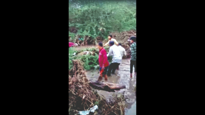 Rain Kills Five In Two Districts Of Saurashtra | Rajkot News - Times of ...