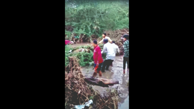 Rain kills five in two districts of Gujarat's Saurashtra