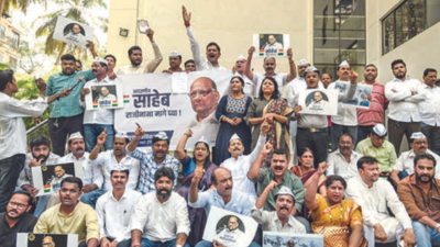 Supriya Sule frontrunner for NCP top post; Ajit Pawar MVA's CM face?