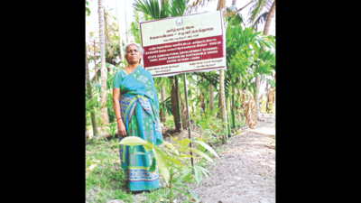 Tamil Nadu: 6.4 lakh saplings distributed to increase green cover