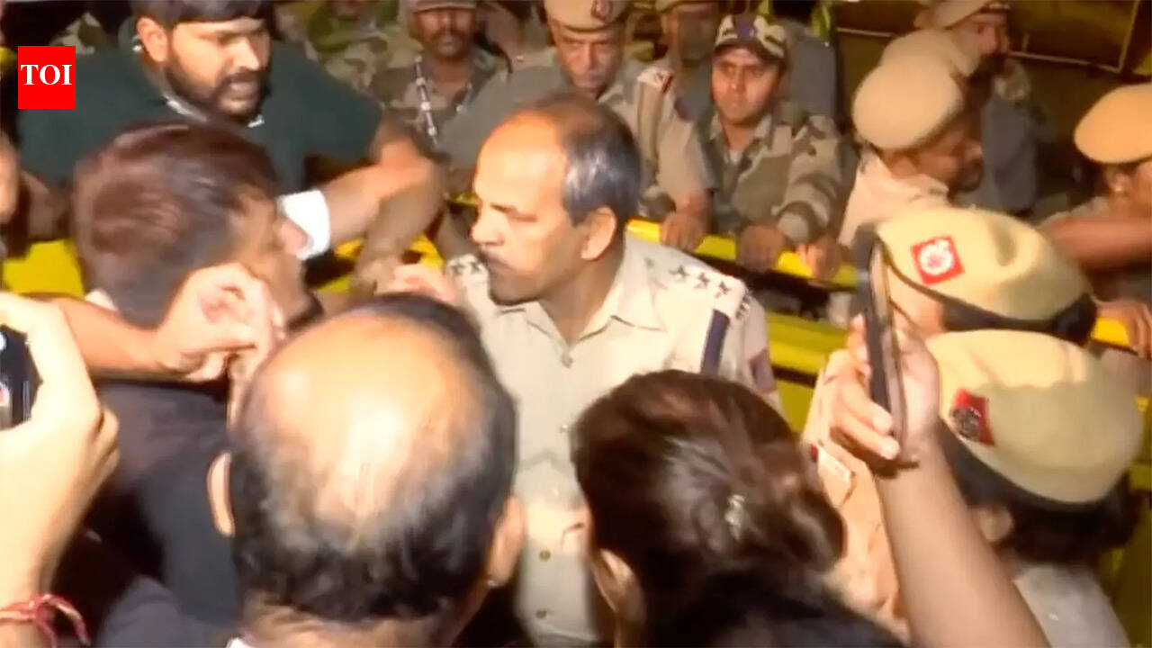 Delhi: Indian wrestlers blame Delhi Police for scuffle during protest ...