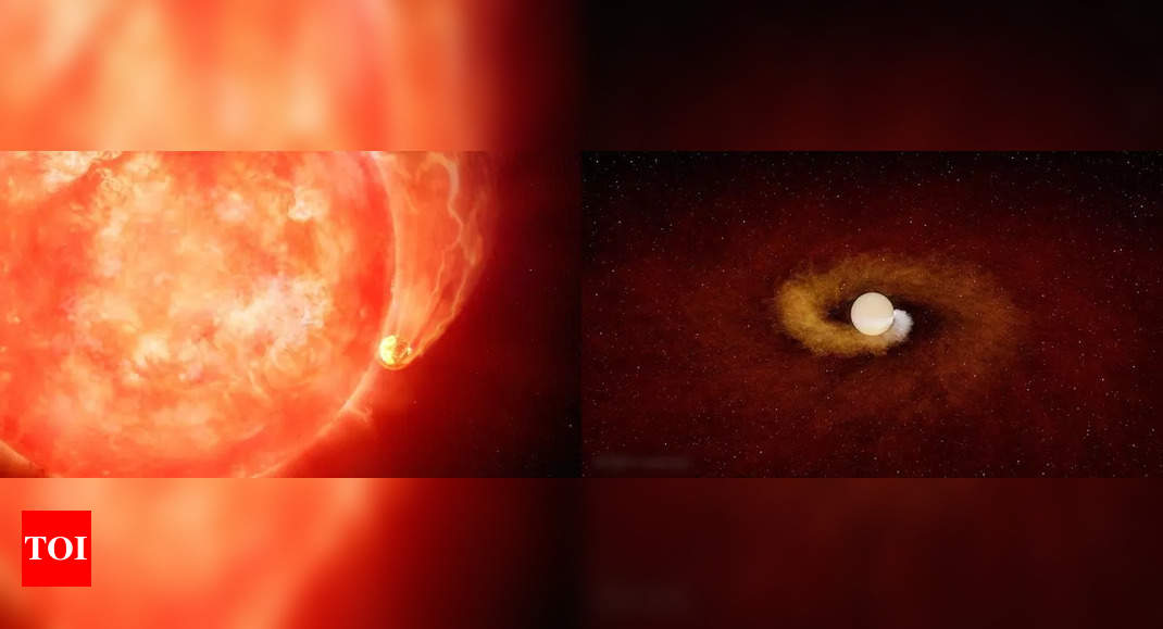 Astronomers say a sun-like star eat-up a planet for the first time; predicts Earth's fate in 5 billion years - Times of India