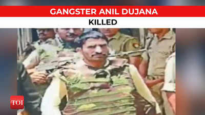 Dreaded gangster Anil Dujana killed by UP STF