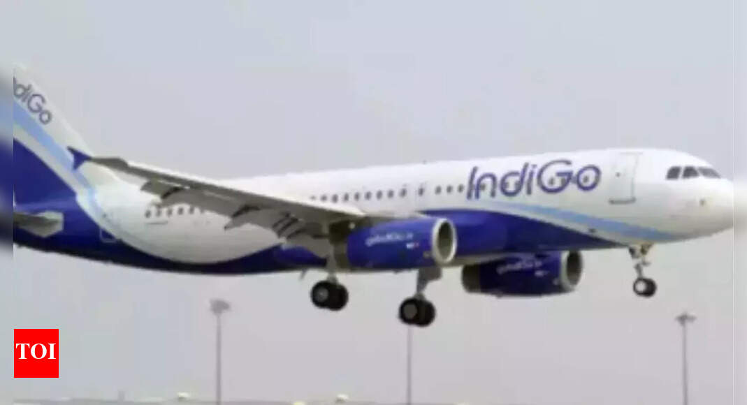 IndiGo moves towards lighter, less paper cockpits – Times of India